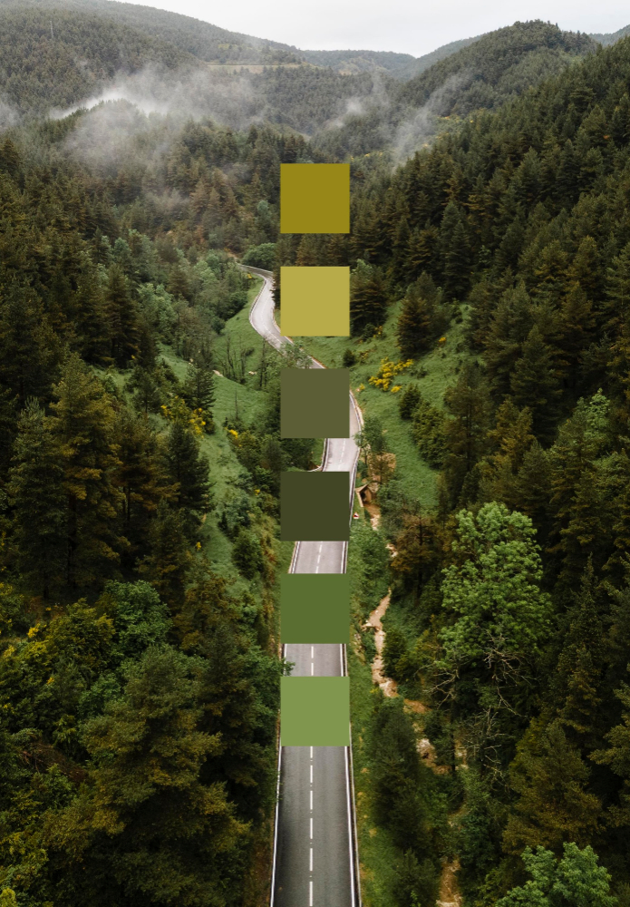 Environmental investing | Invest sustainably